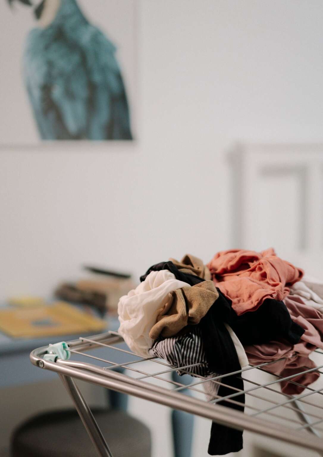 Is having too much clothes bad for us? Gemma Mclean